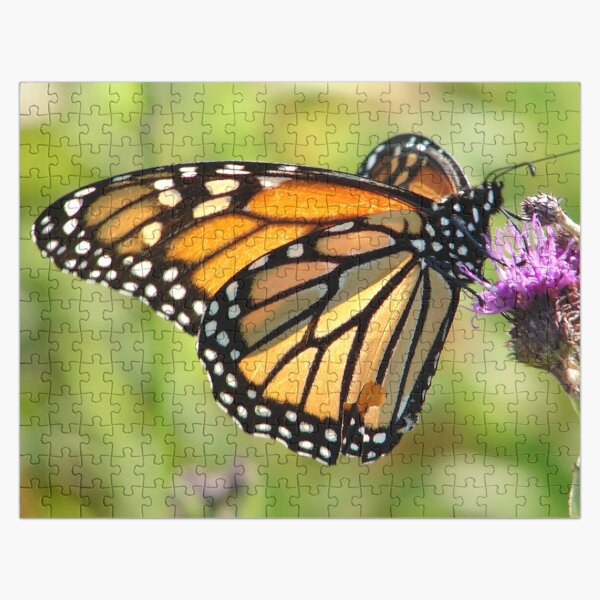 Inspirational butterfly #1 Jigsaw Puzzle