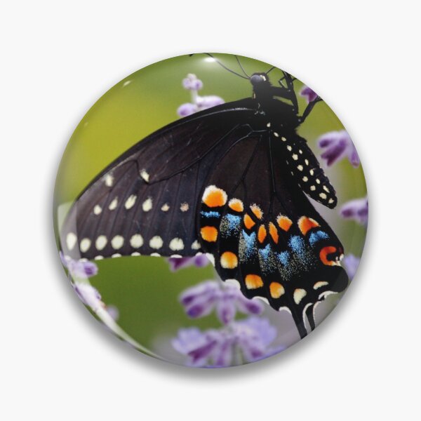 Butterfly Pin