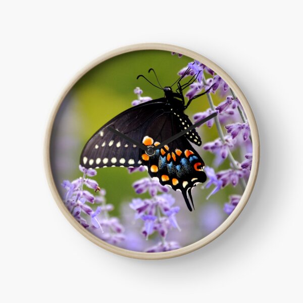 Butterfly Clock