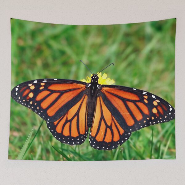 Item preview, Butterfly designed and sold by Journeys of Faith.