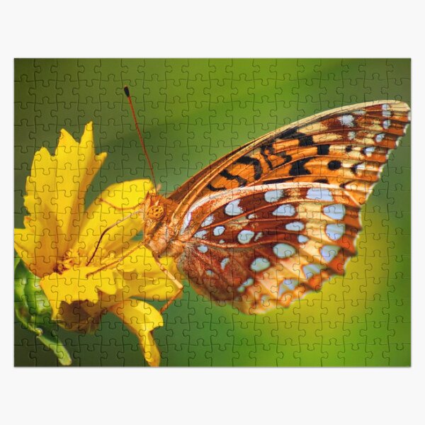 Butterfly #5 Jigsaw Puzzle