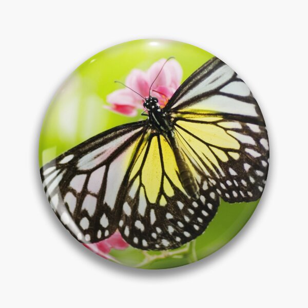 Butterfly #6 Pin