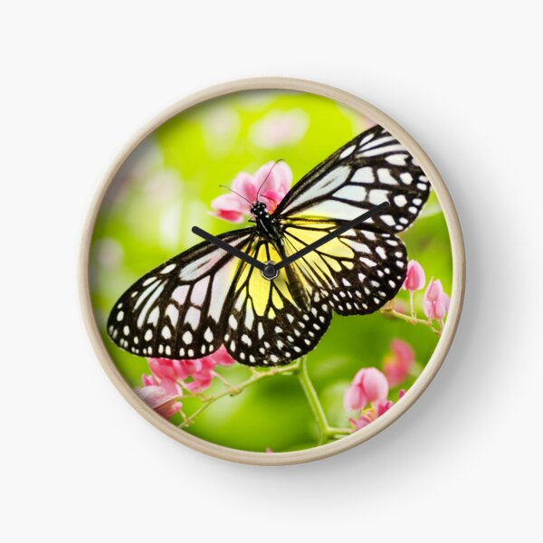 Butterfly #6 Clock