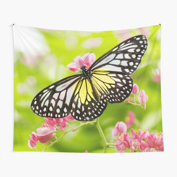 Butterfly #6 Tapestry