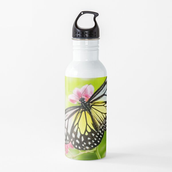 Butterfly #6 Water Bottle