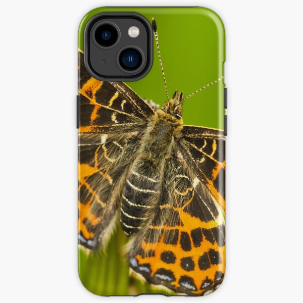 Butterfly #9 iPhone Tough Case
