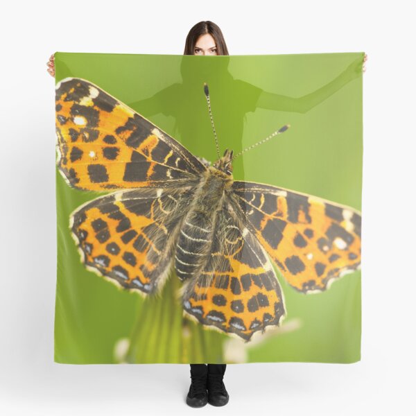 Butterfly #9 Scarf
