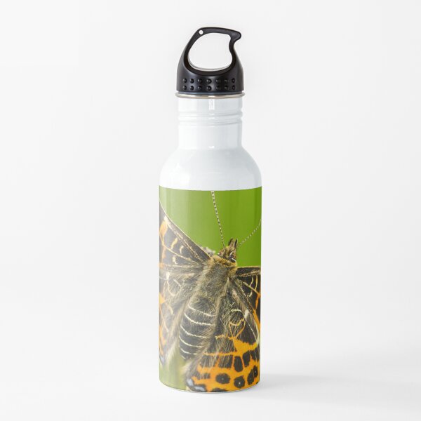 Butterfly #9 Water Bottle