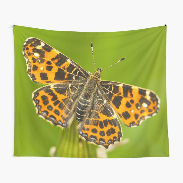 Butterfly #9 Tapestry