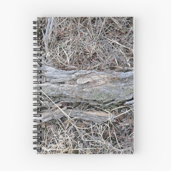 Item preview, Dust to Dust designed and sold by Bree Waltman.