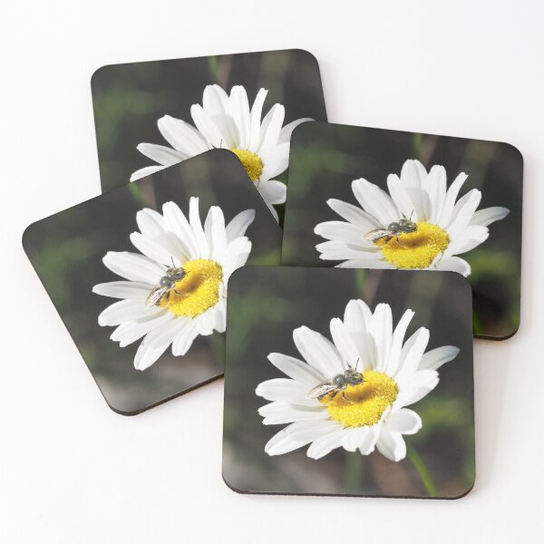 Item preview, Mason Bee on a Daisy designed and sold by litwphoto.