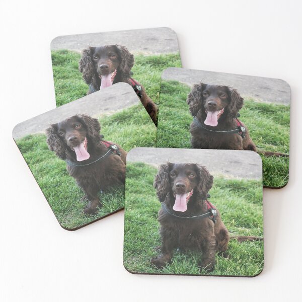 Item preview, Molly the Cocker Spaniel on  Roughfields designed and sold by KatieWilde04.