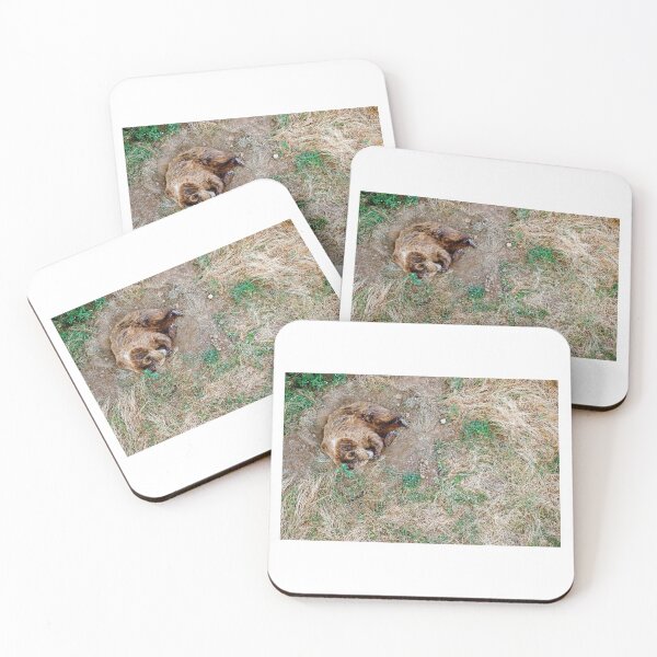 Item preview, Sleeping Grizzly Bear designed and sold by sierrajul.