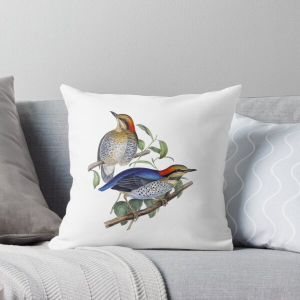 Item preview, Northern Flicker Beautiful Vintage Bird Sticker designed and sold by VntgDesignCo.