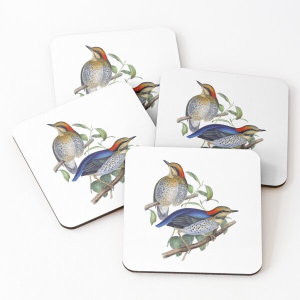 Item preview, Northern Flicker Beautiful Vintage Bird Sticker designed and sold by VntgDesignCo.