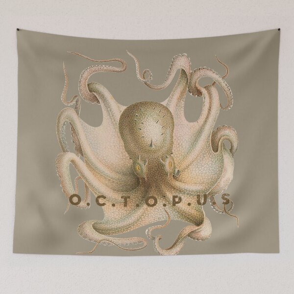 Item preview, octopus - squid realistic designed and sold by venus-ian.