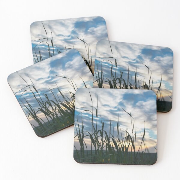 Item preview,  Wildflowers and sunset on Roughfields designed and sold by KatieWilde04.