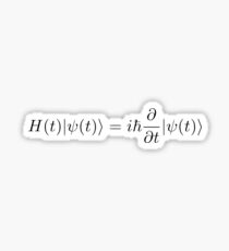 Schrodinger Equation Sticker