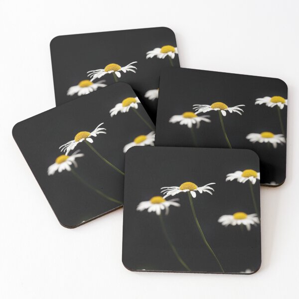 Item preview, White chamomiles on black background designed and sold by olena2552.