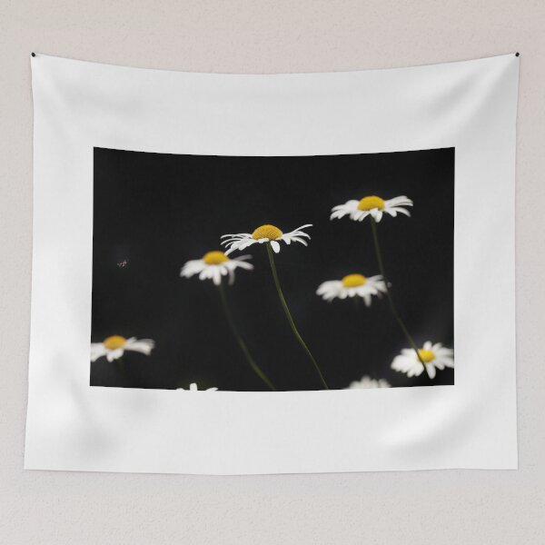 Item preview, White chamomiles on black background designed and sold by olena2552.