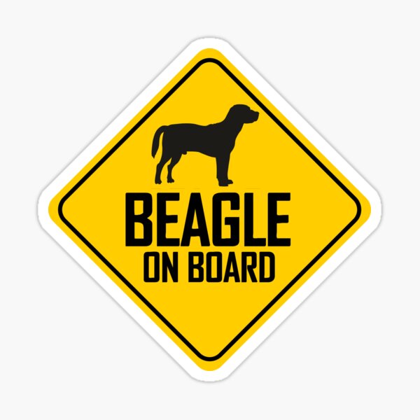 Beagle On Board Auto Schild mit Saugnapf Hund Sticker 