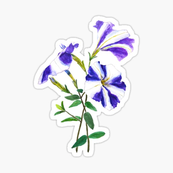 purple petunia  Sticker