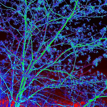 Artwork thumbnail, Abstract Inverted Colorful Tree in Spring by SXW Designs