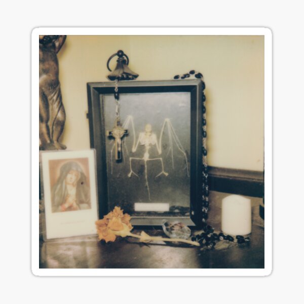 Item preview, Still life with Bat Skeleton designed and sold by sixbellschime.