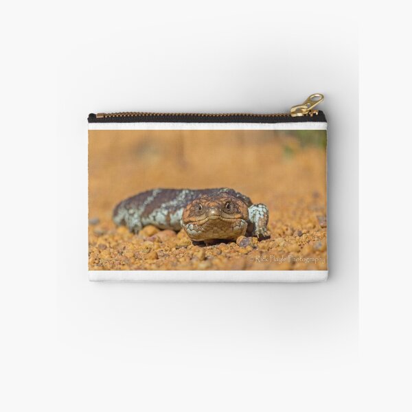 Item preview, The Shingle back AKA Bobtail Lizard designed and sold by Rick Playle.