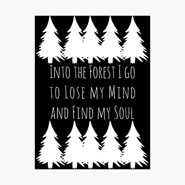Item preview, Into the Forest Night designed and sold by mrsalbert.
