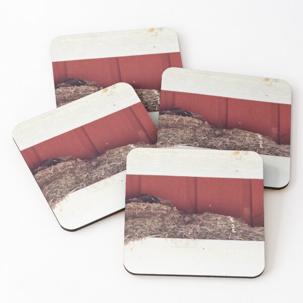 Item preview, Building area. Barn swallow designed and sold by Jouko Lehto Photography.