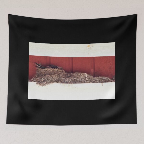 Item preview, Building area. Barn swallow designed and sold by Jouko Lehto Photography.