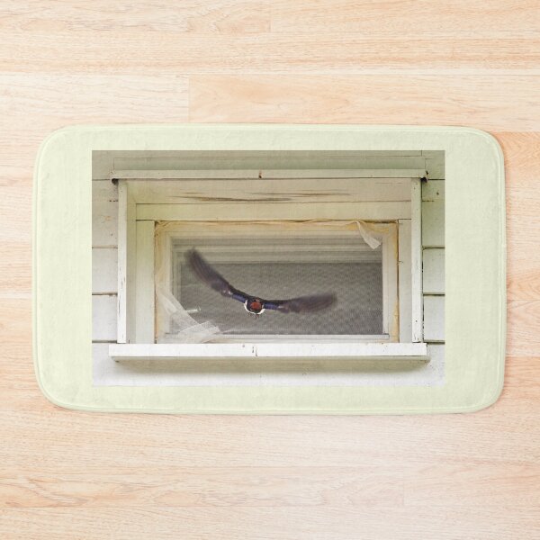 Item preview, Framed. Barn swallow designed and sold by Jouko Lehto Photography.