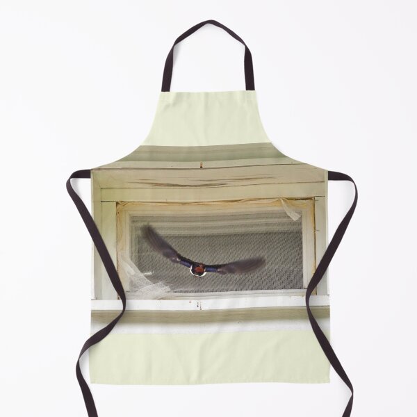 Item preview, Framed. Barn swallow designed and sold by Jouko Lehto Photography.
