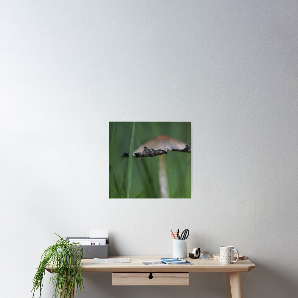 Item preview, Poster designed and sold by Debra Carmichael.