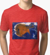 Goldfish Tri-blend T-Shirt