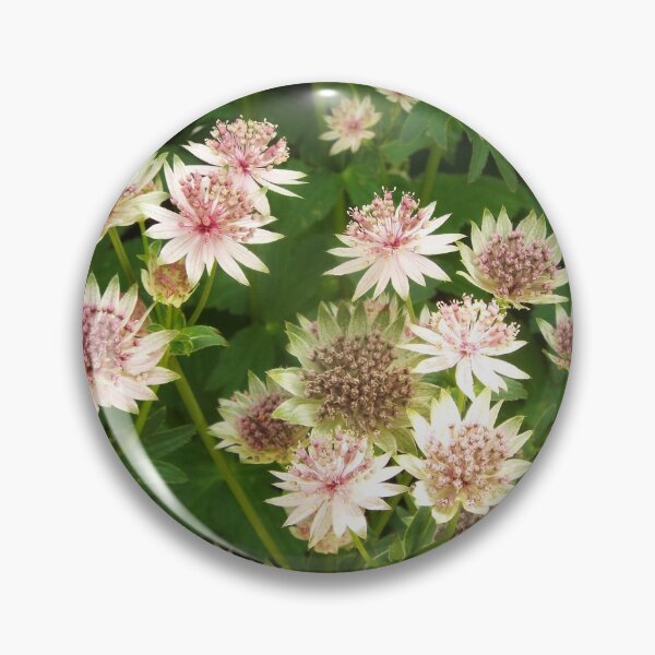 Item preview, Monardas designed and sold by naturelover.