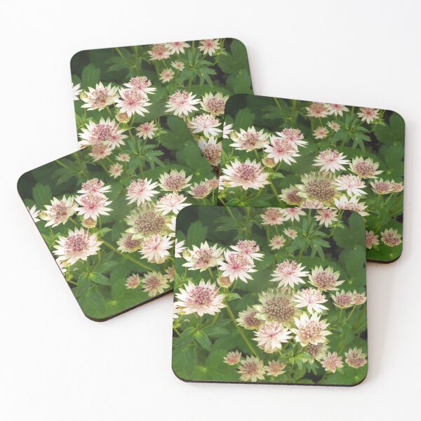 Item preview, Monardas designed and sold by naturelover.