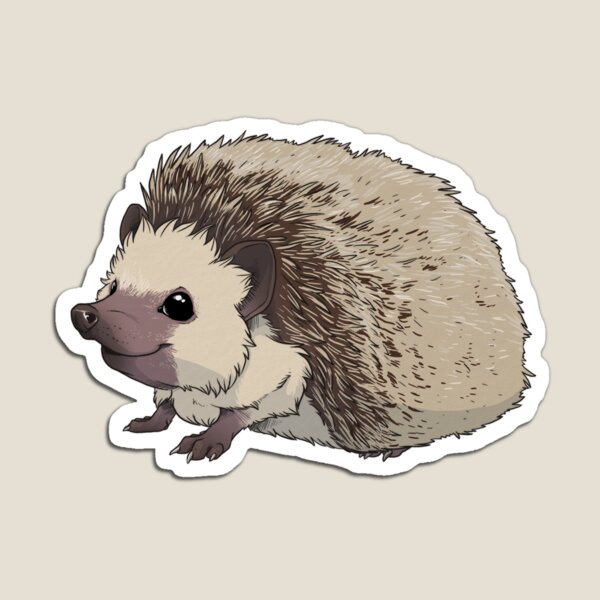 Fuzzpig 1 Magnet