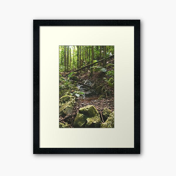 Item preview, Australian Forest - The heart of the forest designed and sold by Damonbinstead.