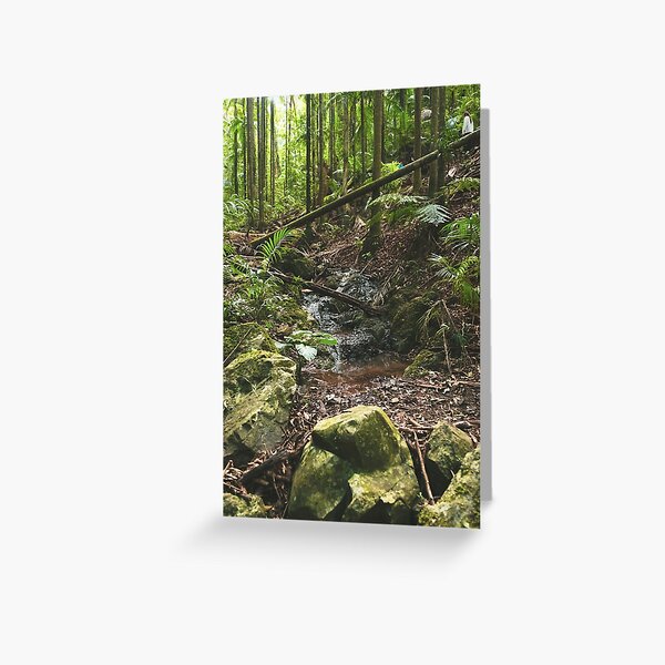 Item preview, Australian Forest - The heart of the forest designed and sold by Damonbinstead.