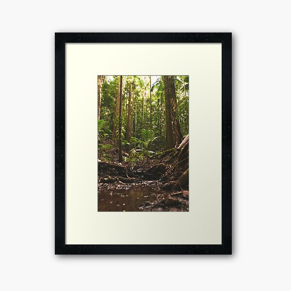Item preview, Australian Forest - Calm and Quiet  designed and sold by Damonbinstead.