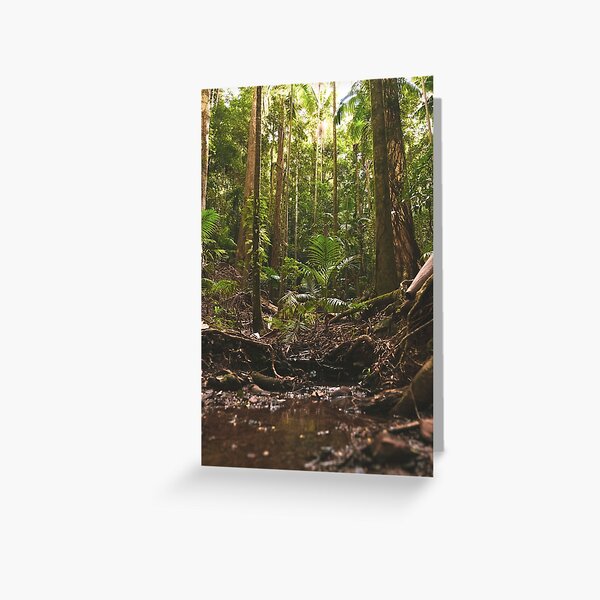 Item preview, Australian Forest - Calm and Quiet  designed and sold by Damonbinstead.