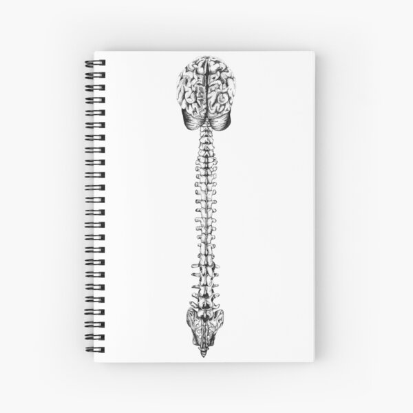 Aperçu de l'œuvre Moelle épinière et cerveau créée et vendue par Depp800.