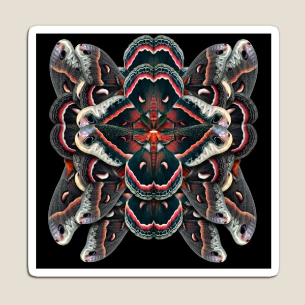 Cecropia Moth Mandala - Symmetrical Magnet