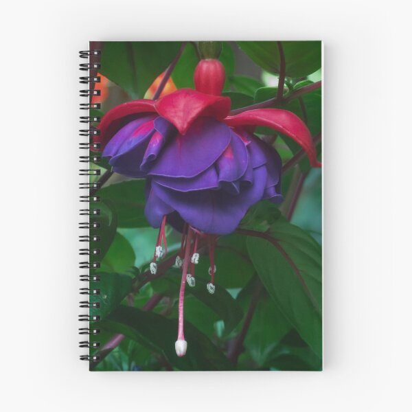 Item preview, Forget the Past, this is the Fuchsia. designed and sold by GingerMan2550.