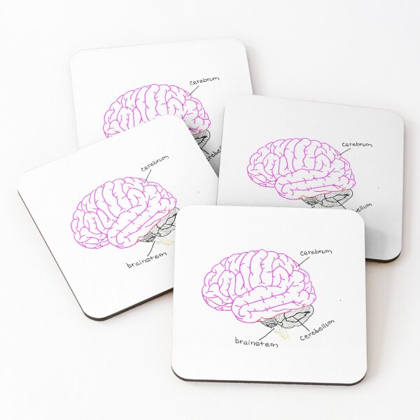 Item preview, Pink Brain Diagram Labelled designed and sold by NeuroNotes.