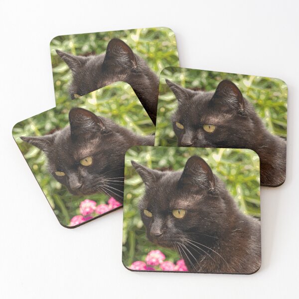 Item preview, Attention Seeker. designed and sold by GingerMan2550.