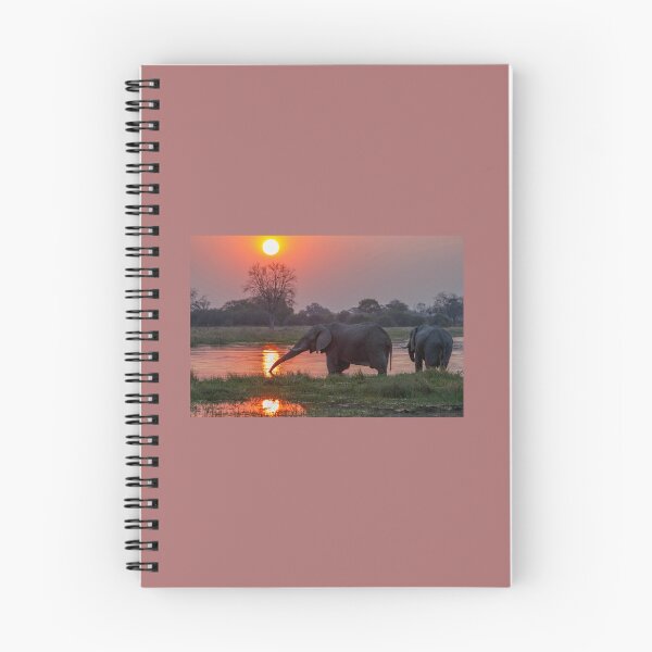 Item preview, Elephan Sunset designed and sold by Blagoje Parezanin.