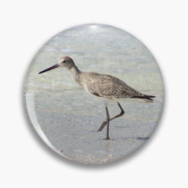 Item preview, Willet at the Tide Line designed and sold by astronaut01.